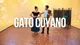 Gato Cuyano (San Luis)