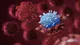 Historia de los virus: ¿Cómo surgen las variantes?