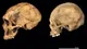 El hallazgo que reescribe la historia: encontraron el primer hijo de un neandertal y un humano moderno