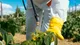 El uso responsable de fitosanitarios y su impacto en el agro