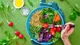 ¿Cómo tener una alimentación basada en plantas sin correr riesgos nutricionales?
