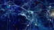 Científicos crearon neuronas artificiales que se asemejan a las humanas