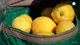 Limones tucumanos, los mejores del mundo