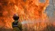 Incendios forestales: qué son y cómo prevenirlos