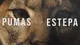 Serie documental &#8220;Pumas de la Estepa&#8221;