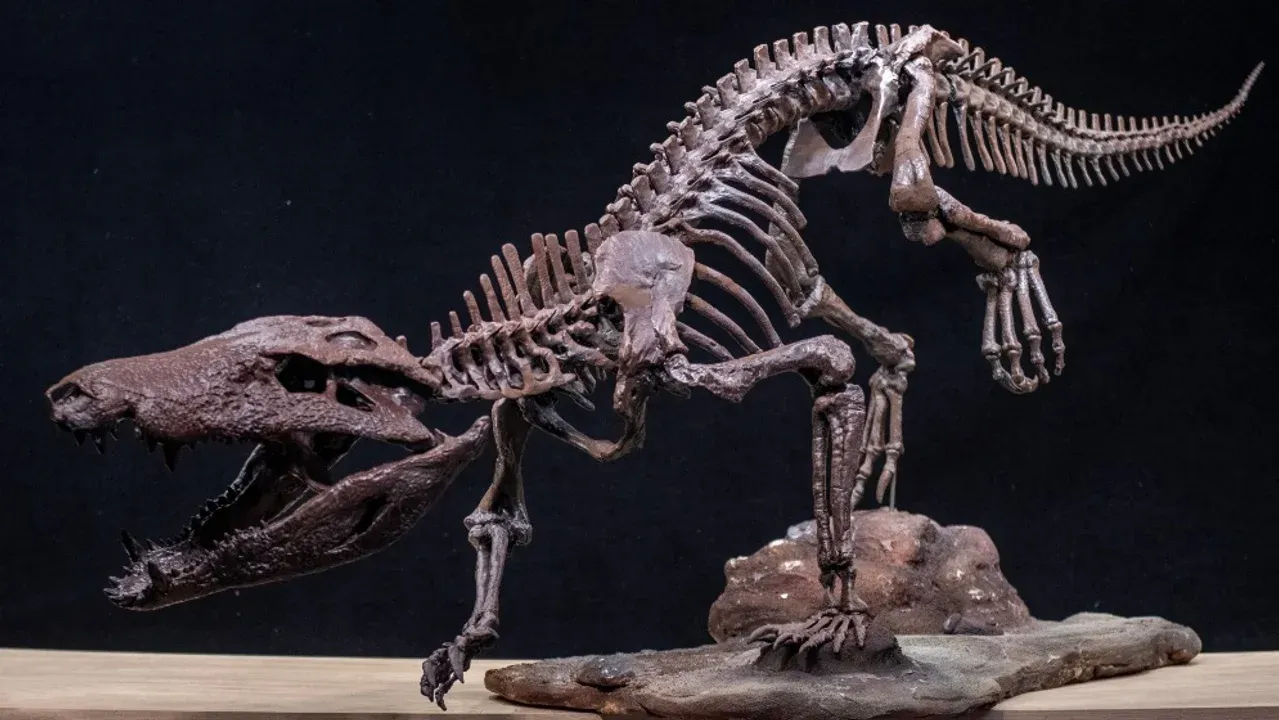 Trovato coccodrillo in Patagonia che visse con gli ultimi dinosauri