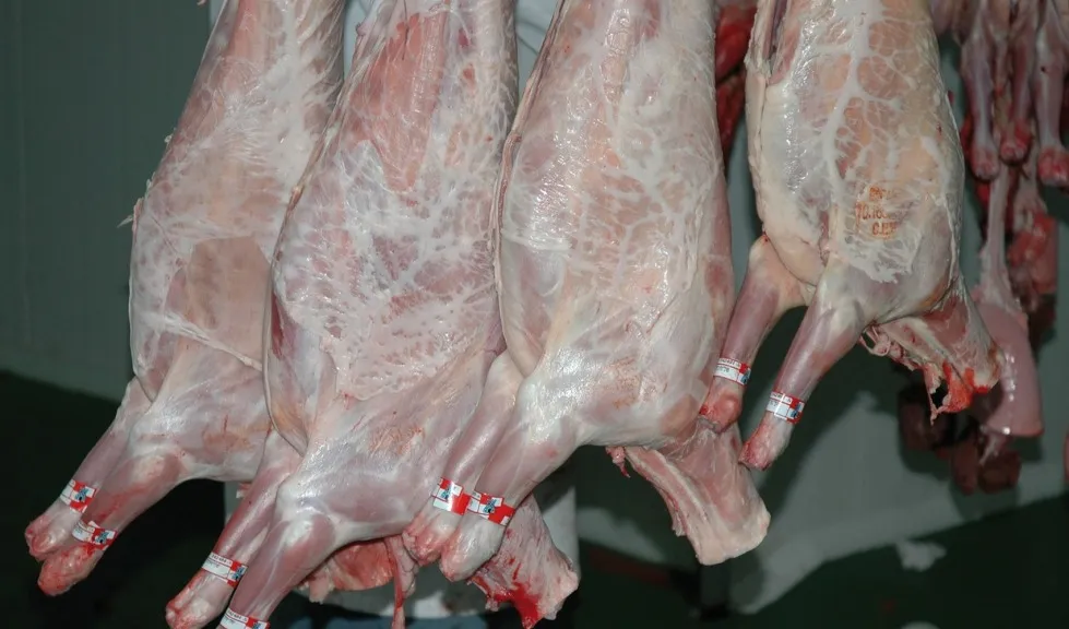 Crecen las exportaciones de carne ovina argentina