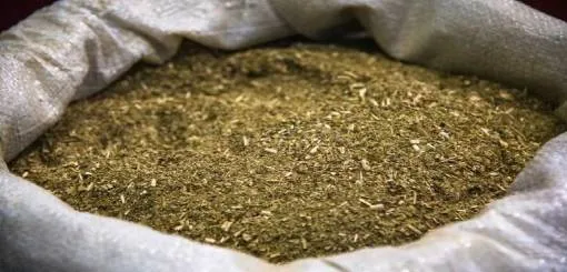 Argentina consumió 189 millones de kilos de yerba mate en ocho meses