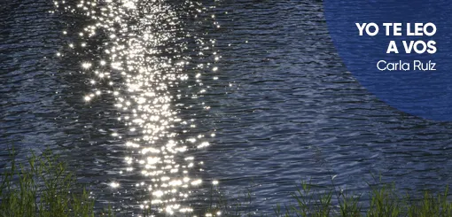 Echando algo de luz