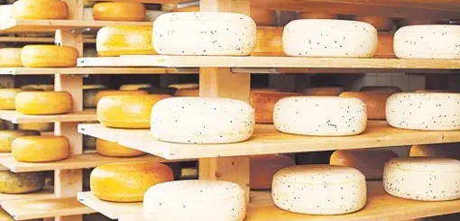 La Ruta del Queso el paseo tur stico que ofrece la localidad de