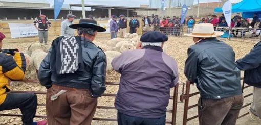 Gran número de cara a la 14° edición de la Feria Integral de la Producción