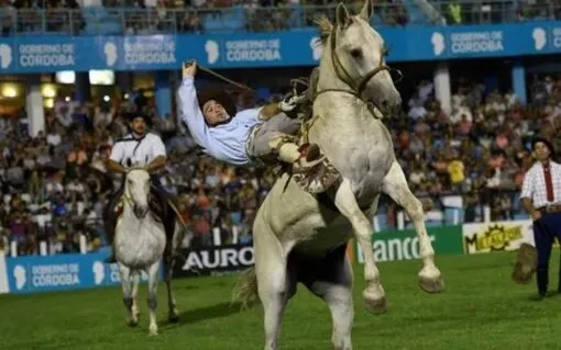 Festival Nacional de Doma y Folklore