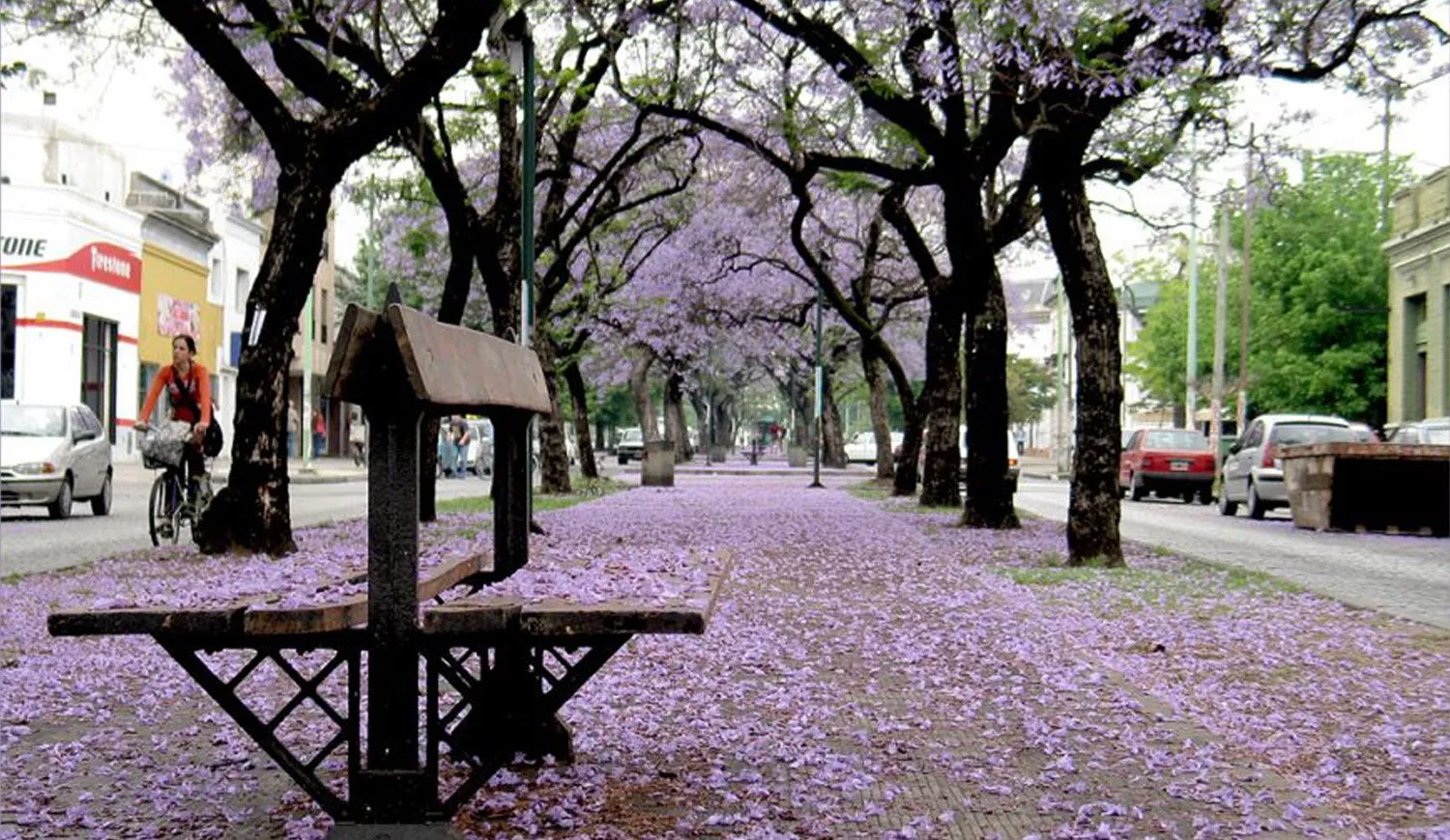 Alergias de primavera: causas y tratamientos
