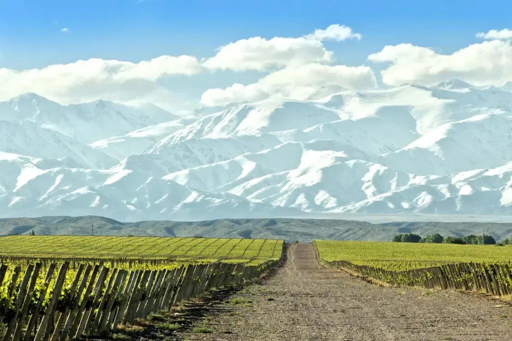 Enoturismo: Mendoza eligió a sus representantes para competencia internacional