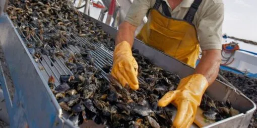 Acompanhe o encontro em português