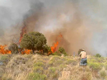 Foto gentileza FM Cordillerana.