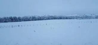 Temporal de nieve: Educación informó las  localidades donde continúa la suspensión de clases.