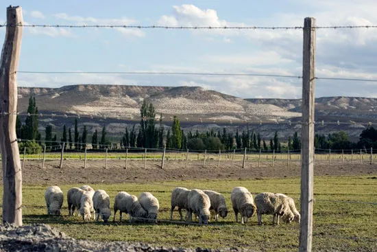 Capacitacion de Paisaje, Sostenibilidad y Desarrollo Rural.