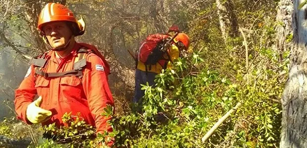 Se avanza en la reactivación de la oficina de la Subsecretaria de Bosques