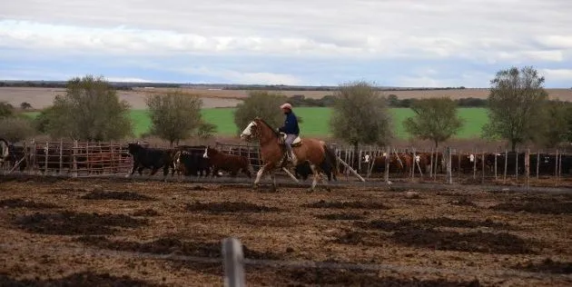 Continua el Censo Nacional Agropecuario