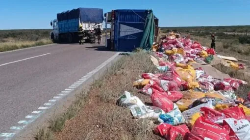 Bomberos de Río Colorado recolectaron alimento para mascotas de un camión siniestrado en la ruta