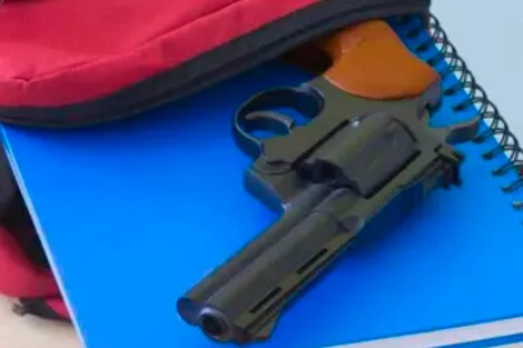 Armas en los colegios