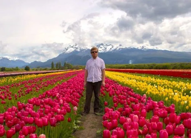 El campo patagónico de 4 millones de tulipanes que es un éxito turístico