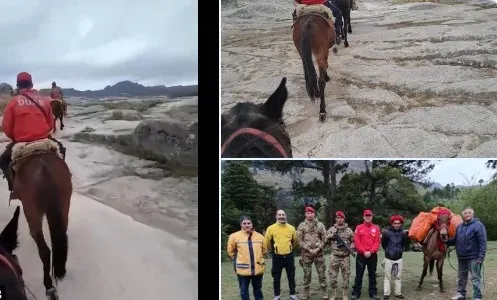 Más de 10 mil vehículos para el traslado de urnas en mula, lanchas o a caballo