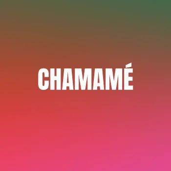 Fiesta Nacional Del Chamamé